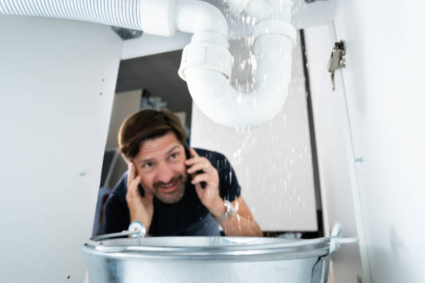Best Water Leak Repair  in Dadeville, AL