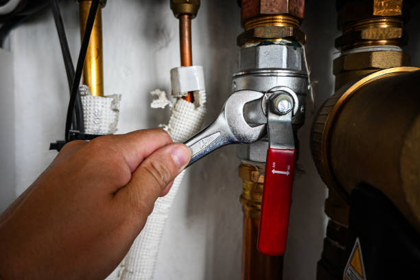 Best Commercial Plumbing Services  in Dadeville, AL